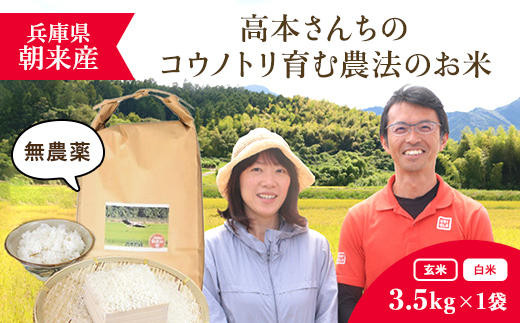 【令和6年新米先行予約/10月発送開始】高本さんちのコウノトリ育む農法(農薬不使用)のお米 3.5kg【玄米/白米】 米 こめ コメ お米 おこめ おコメ ご飯 ごはん コシヒカリ こしひかり 兵庫県 朝来市 AS2BB7