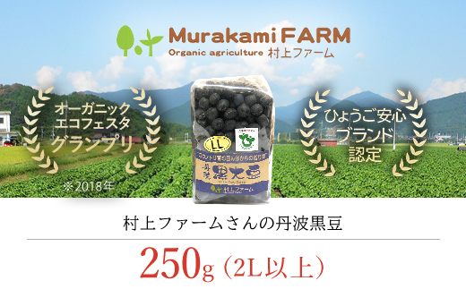 村上ファームさんの丹波黒豆250g（2L以上）丹波黒大豆 丹波黒豆 丹波黒 黒豆 黒大豆 大豆 ダイズ 黒ダイズ クロマメ くろまめ 大粒 有機JAS認証 無農薬栽培 煮豆 おせち おせち料理 お正月 正月料理 兵庫県 朝来市 AS1AB3