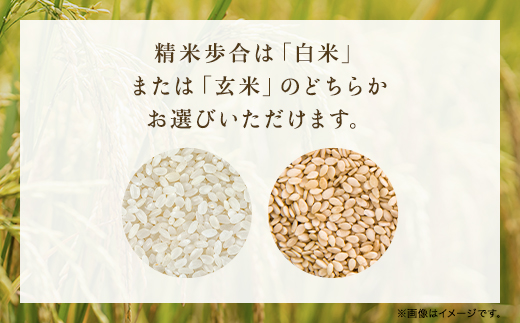 【令和6年新米先行予約/9月発送開始】高本さんちのコシヒカリ【玄米/白米】5kg AS2BB24