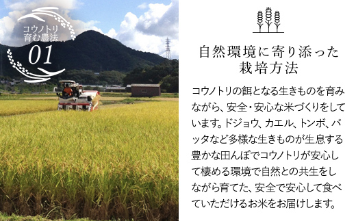 【令和6年産 新米】竹田城跡の麓 吉田農場の美味しいコシヒカリ（白米）5kg コシヒカリ こしひかり コメ こめ 米 ごはん ご飯 白米 5キロ 兵庫県 朝来市 AS1B1