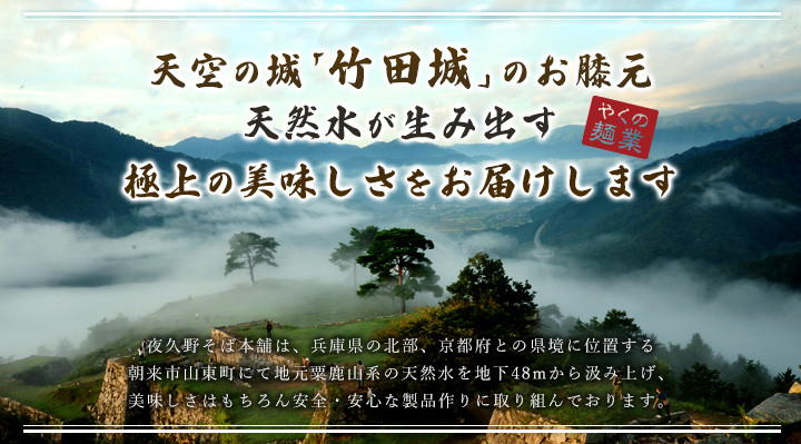 半生夜久野そば10人前セット【やくの麺業】 AS2B18 