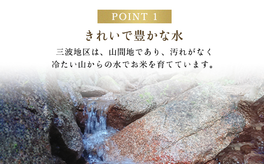 令和6年先行予約 減農薬 三波農地を守る会のコシヒカリ（15kg） 【玄米】 AS2D10-genmai