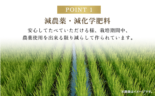 【令和6年新米先行予約/9月発送開始】高本さんちのコシヒカリ【玄米/白米】5kg AS2BB24