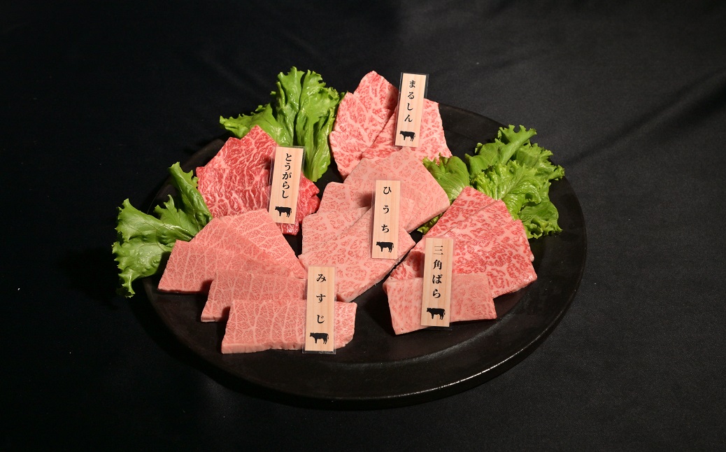 神戸牛 希少部位 焼肉 5種類 セット（三角ばら・みすじ・とうがらし・ひうち・まるしん） 計400g （各80g×1） AS53CC10