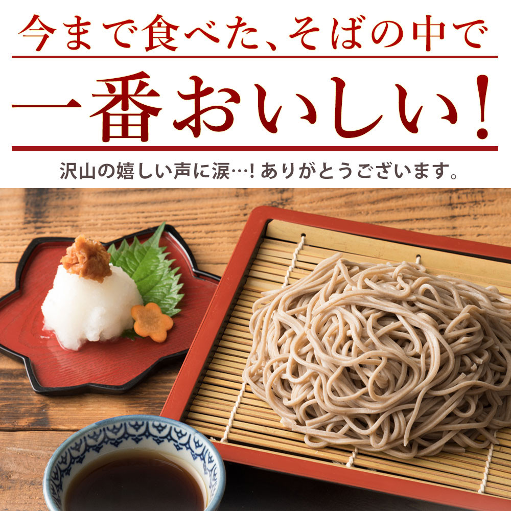 半生夜久野そば10人前セット【やくの麺業】 AS2B18 