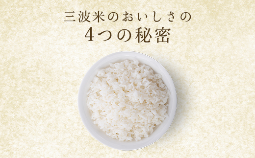 令和6年新米先行予約 減農薬 三波農地を守る会のコシヒカリ（15kg） 【白米】 AS2D10