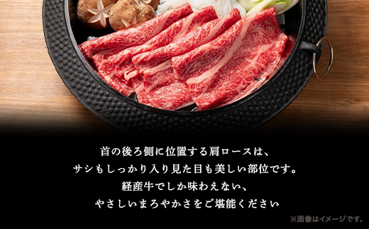 経産但馬牛 肩ロース すき焼き用 500g AS2CA2