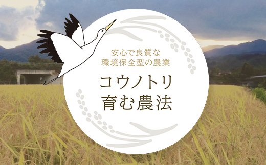 【令和6年産 新米】竹田城跡の麓 吉田農場の美味しいコシヒカリ（白米）5kg コシヒカリ こしひかり コメ こめ 米 ごはん ご飯 白米 5キロ 兵庫県 朝来市 AS1B1