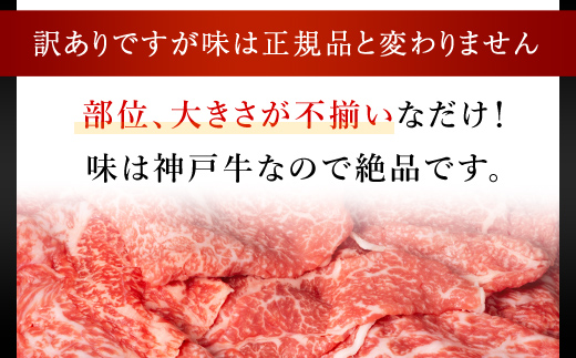 神戸牛 訳あり 切り落とし肉 バラ・もも・かた 500g AS8BB41-ASGS1 | 神戸ビーフ 神戸肉 黒毛和牛 国産和牛 ブランド和牛 牛肉 牛 肉 お肉 兵庫県 朝来市