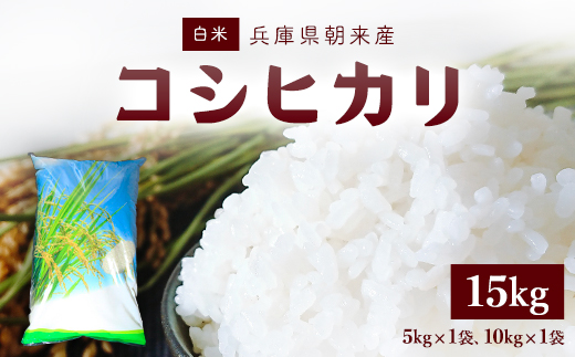 [令和6年産 新米]朝来産コシヒカリ米 15kg(5kg×1袋、10kg×1袋) 米 お米 精米 こしひかり ご飯 白米 15キロ AS4CA4