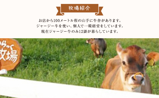 ジャージー牧場らいらっく ふわふわカマン＆ガトーフロマージュ チーズケーキ チーズ ケーキ セット 食べ比べ カマンベールチーズ スフレチーズケーキ 兵庫県 朝来市 AS1BB18