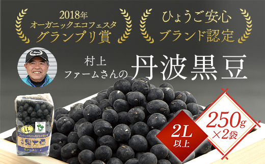 村上ファームさんの丹波黒豆250g（2L以上）×2個セット 丹波黒大豆 丹波黒豆 丹波黒 黒豆 黒大豆 大豆 ダイズ 黒ダイズ クロマメ くろまめ 大粒 有機JAS認証 無農薬栽培 煮豆 おせち おせち料理 お正月 正月料理 兵庫県 朝来市 AS1BA19