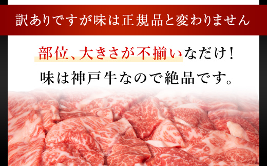 神戸牛 訳あり 焼肉用 500g AS8BB42-ASGY1 | 神戸ビーフ 神戸肉 黒毛和牛 国産和牛 ブランド和牛 牛肉 牛 肉 お肉 兵庫県 朝来市