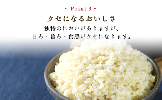 木村義昭さんの炊飯器で発芽する玄米 3合×6袋セット 減農薬 発芽玄米 玄米 コシヒカリ お米 おこめ ご飯 ごはん 米 こめ コメ 国産 国産米 胚芽つき精米 精米 兵庫県 朝来市 AS2BC3