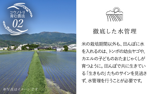 【令和6年産 新米】竹田城跡の麓 吉田農場の美味しいコシヒカリ（白米）5kg コシヒカリ こしひかり コメ こめ 米 ごはん ご飯 白米 5キロ 兵庫県 朝来市 AS1B1