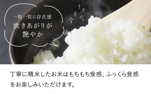 【令和6年産 新米】竹田城跡の麓 吉田農場の美味しいコシヒカリ（白米）5kg コシヒカリ こしひかり コメ こめ 米 ごはん ご飯 白米 5キロ 兵庫県 朝来市 AS1B1