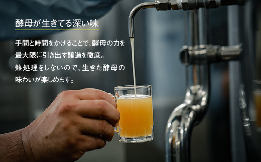 【定期便】あわぢびーる毎月６本セット　　[クラフトビール 飲み比べ ビール]