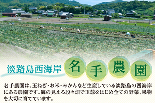 【定期便】名手農園の淡路島特産玉ねぎ(5kg)とお米(3kg)の10ヶ月コース