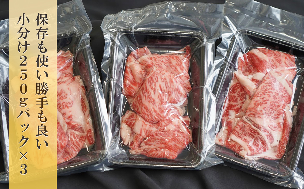 淡路牛 ロース切り落し 750g（250ｇ×3パック）　[小分け 冷凍 牛肉 人気]