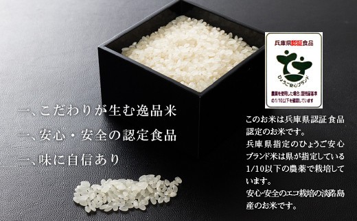 野添農園のコシヒカリ7ｋｇ「ひょうご安心ブランド」　　[コシヒカリ こしひかり 精米 白米 コシヒカリ こしひかり コシヒカリ こしひかり コシヒカリ こしひかり コシヒカリ こしひかり コシヒカリ こしひかり コシヒカリ こしひかり コシヒカリ こしひかり]