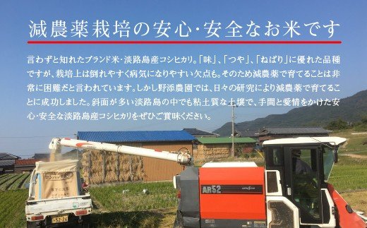 野添農園のコシヒカリ7ｋｇ「ひょうご安心ブランド」　　[コシヒカリ こしひかり 精米 白米 コシヒカリ こしひかり コシヒカリ こしひかり コシヒカリ こしひかり コシヒカリ こしひかり コシヒカリ こしひかり コシヒカリ こしひかり コシヒカリ こしひかり]