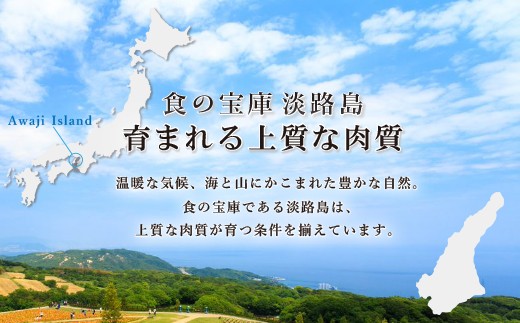 淡路牛サーロインステーキ（1枚） 約230g　　　[サーロイン 牛肉 ステーキ 国産 ステーキ ロース ステーキ ステーキ ステーキ]