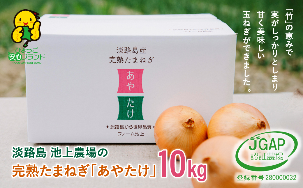 淡路島　池上農場の完熟たまねぎ「あやたけ」10kg　玉ねぎ たまねぎ 淡路島 玉ねぎ