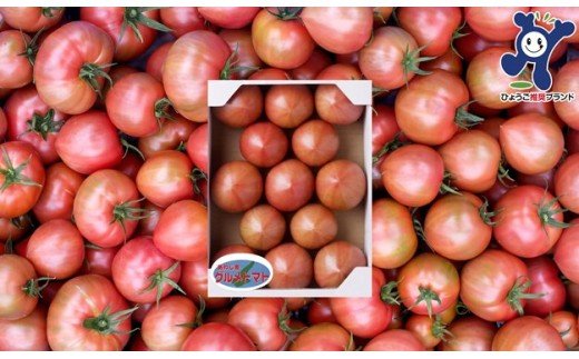 三谷さんの淡路島グルメトマト1kg