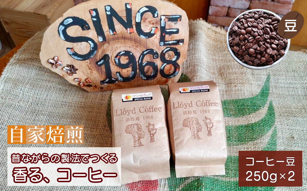 ロイドコーヒースペシャルブレンド（豆）500g（250g×2個）自家焙煎 コーヒー 豆 コーヒー 豆