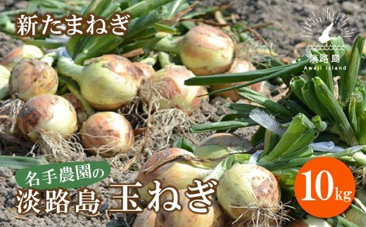 【新たまねぎ】名手農園の淡路島特産玉ねぎ10kg【発送時期：2025年3月～5月頃】