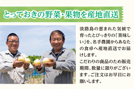 【新たまねぎ】名手農園の淡路島特産玉ねぎ10kg【発送時期：2024年3月～5月頃】