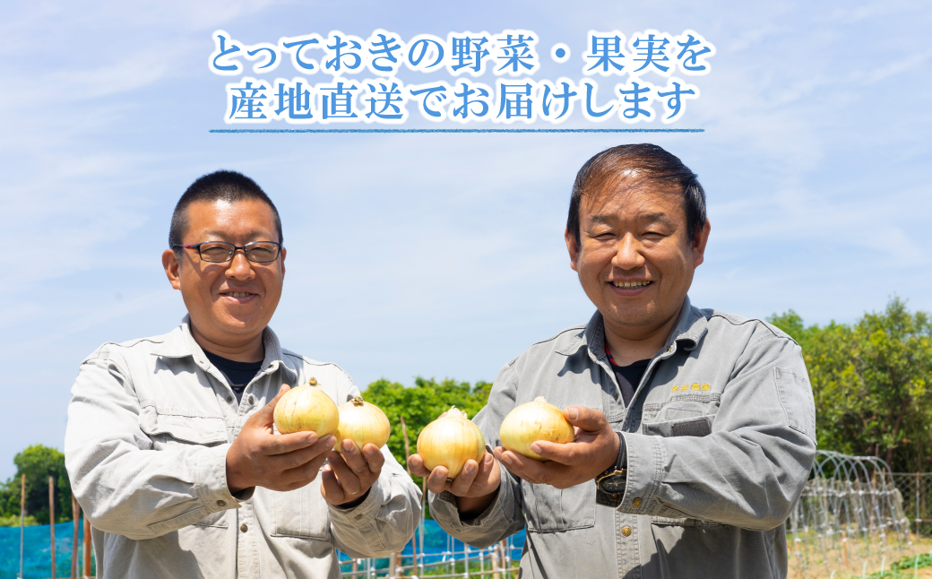 【新たまねぎ】名手農園の淡路島特産玉ねぎ10kg【発送時期：2026年3月～5月頃】　[新玉ねぎ]