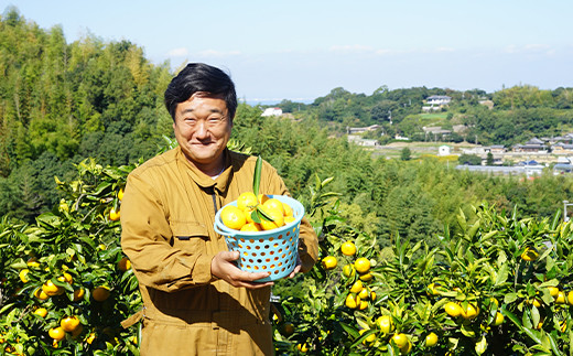 温州みかん　5kg　サイズ色々Ｓ・Ｍ・Ｌミックス