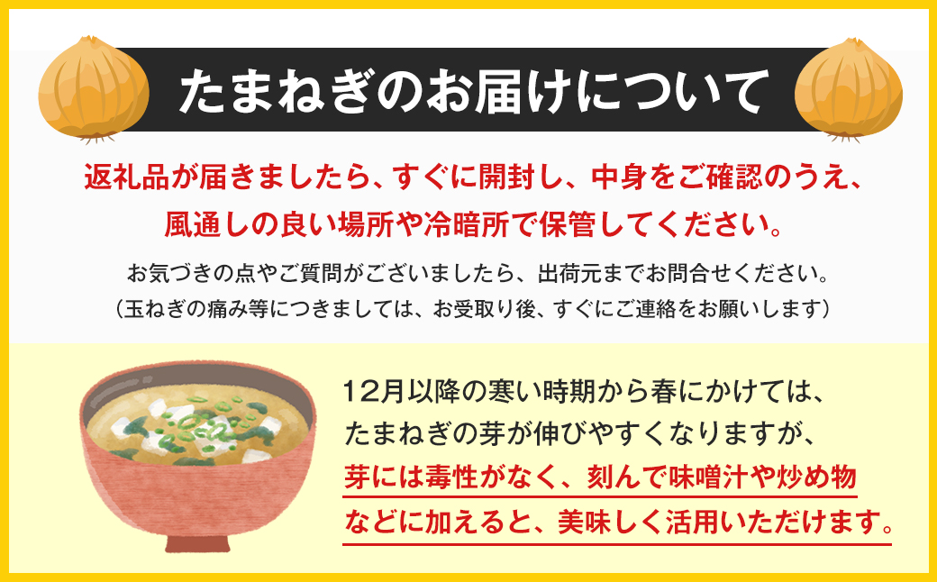 【定期便】名手農園の淡路島特産玉ねぎ10kgの12ヶ月コース　[たまねぎ 玉ねぎ]