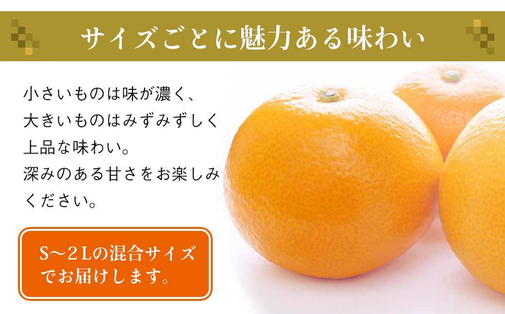 片山農園の淡路島のはっさく7.5kg【サイズいろいろS～2Lサイズ】