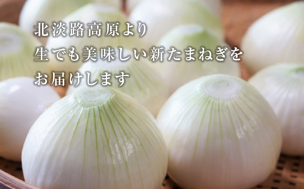 【新たまねぎ】こうめいさんの玉葱5kg【発送時期：2025年4月中旬～6月上旬頃】