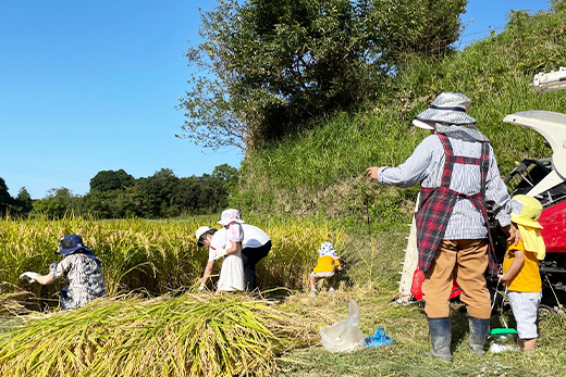 【定期便】淡路島の棚田米　5kg×6回（隔月、偶数月発送）　　[米 お米 精米 白米]