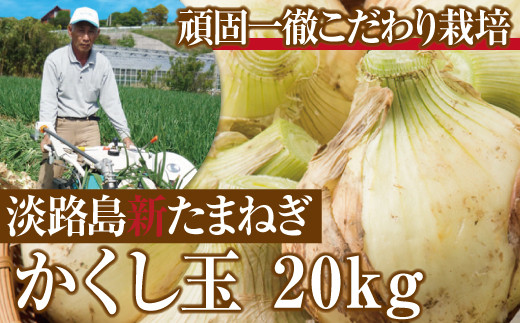 【新たまねぎ】今井ファームの淡路島たまねぎ「かくし玉」20kg【発送時期2025年4月下旬～5月頃】