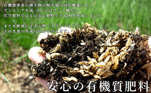 今井ファームの淡路島たまねぎ「かくし玉」20kg　　[玉ねぎ 玉葱 淡路島 玉ねぎ たまねぎ]