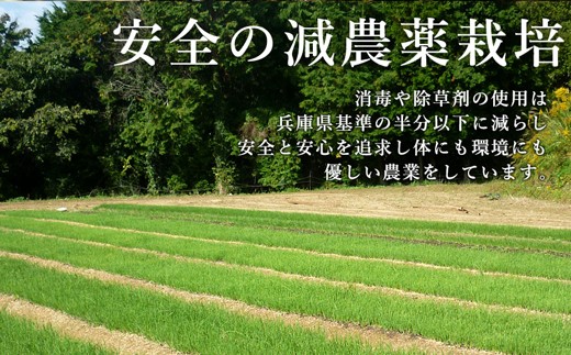 今井ファームの淡路島たまねぎ「かくし玉」20kg　　[玉ねぎ 玉葱 淡路島 玉ねぎ たまねぎ]