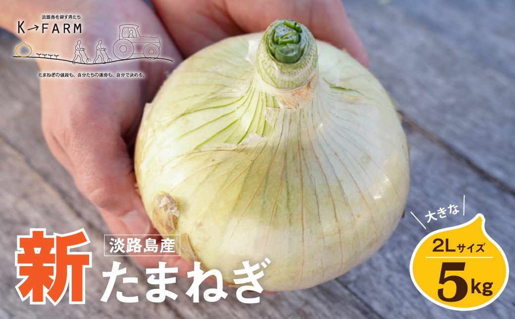 【新たまねぎ】淡路島たまねぎ 大きな2Lサイズ 5kg【発送時期：2025年3月中旬～6月上旬頃】　　[玉ねぎ 玉葱 タマネギ 玉ねぎ 淡路島産 たまねぎ 玉ねぎ 玉ねぎ 新玉ねぎ 玉ねぎ 新玉ねぎ]