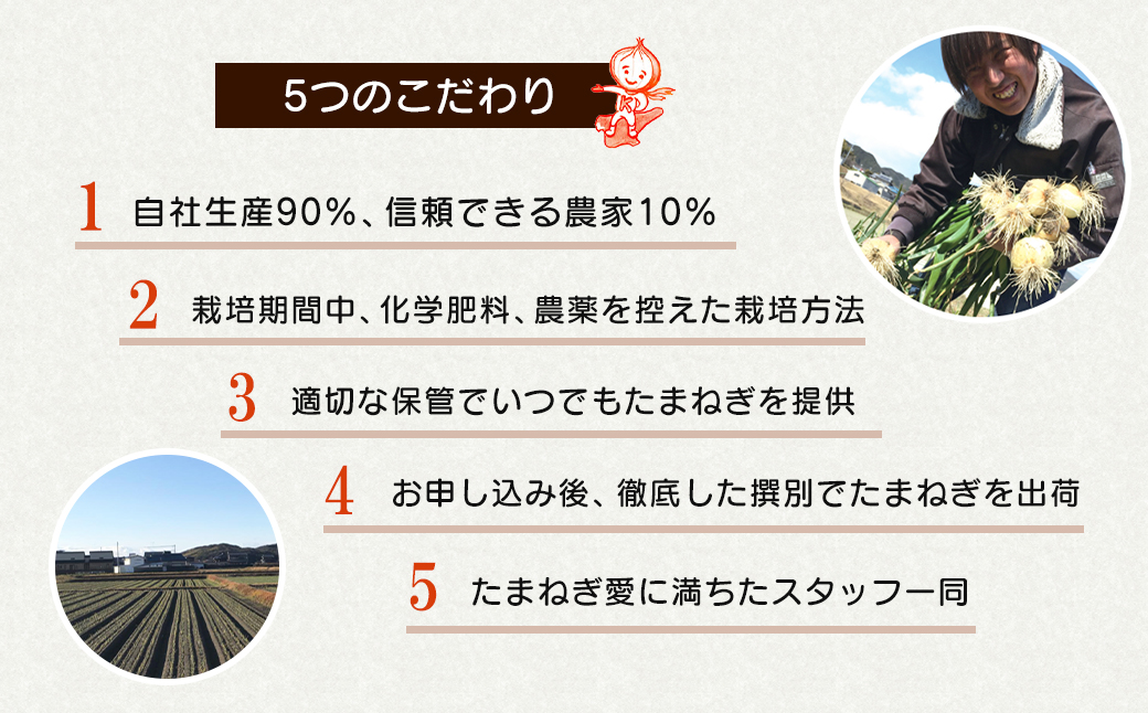 【新玉ねぎ】淡路島たまねぎ 大きな2Lサイズ 5kg【発送時期：2026年3月下旬～5月頃】　玉ねぎ 産地直送