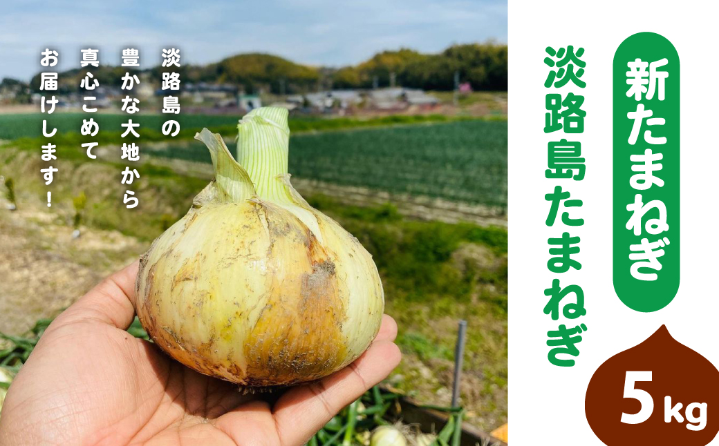 【新たまねぎ】淡路島たまねぎ(5キロ)【発送時期：2025年5月頃】