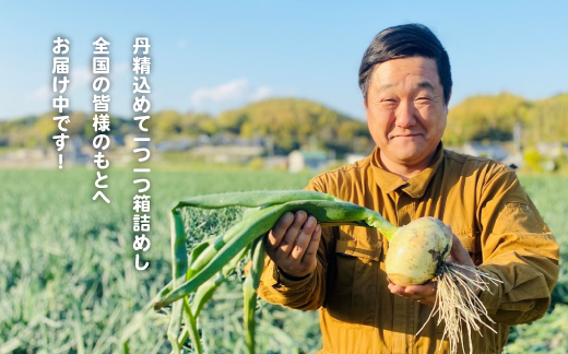 【新たまねぎ】淡路島たまねぎ(5キロ)【発送時期：2025年5月頃】