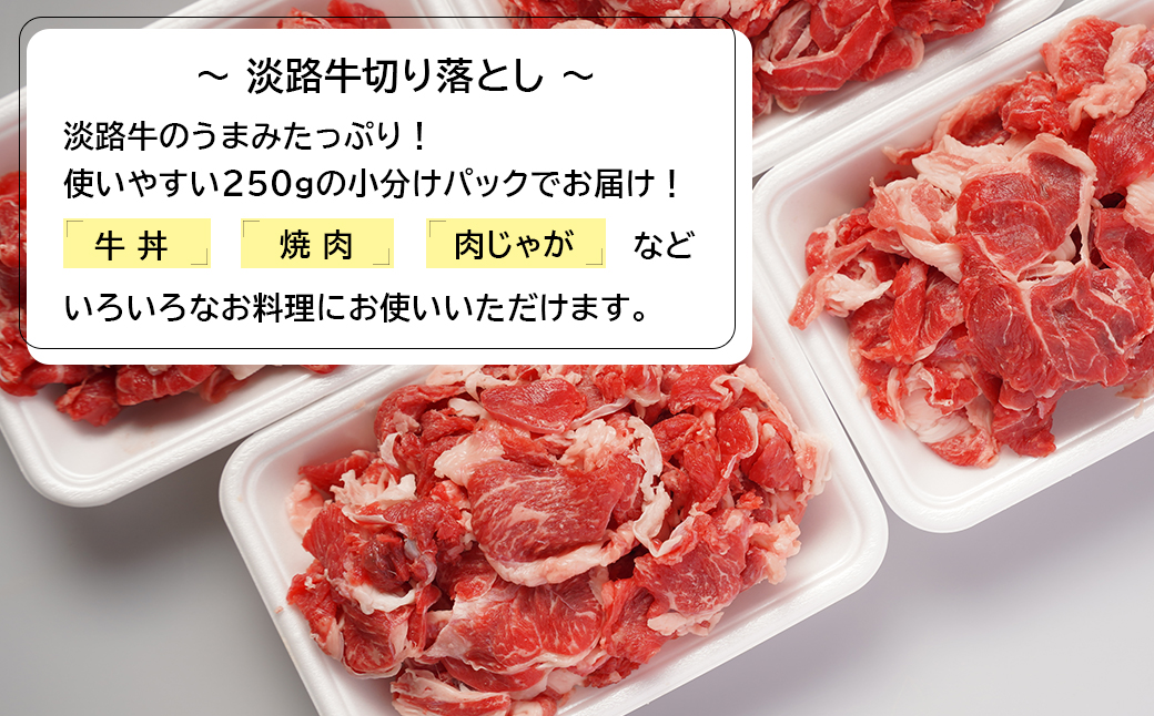 淡路島のお肉お手軽味わいセット（ハンバーグと淡路牛切り落とし）