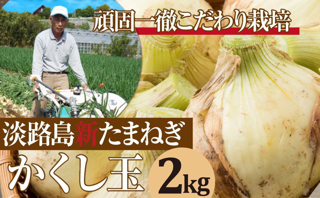 【新たまねぎ】今井ファームの淡路島たまねぎ「かくし玉」 2kg【発送時期2025年4月下旬～5月頃】　　[玉ねぎ 玉葱 タマネギ 玉ねぎ 淡路島産 たまねぎ 玉ねぎ 玉ねぎ 玉ねぎ 玉ねぎ 玉ねぎ]