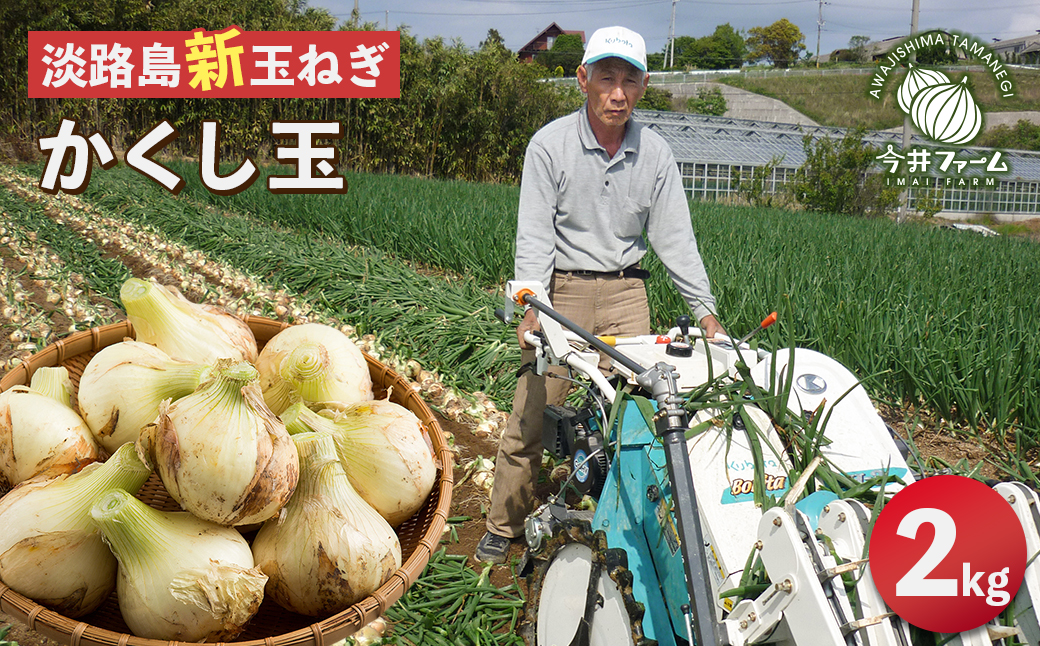 【新たまねぎ】今井ファームの淡路島たまねぎ「かくし玉」 2kg【発送時期2026年4月下旬～5月頃】　[玉ねぎ 産地直送 玉ねぎ]