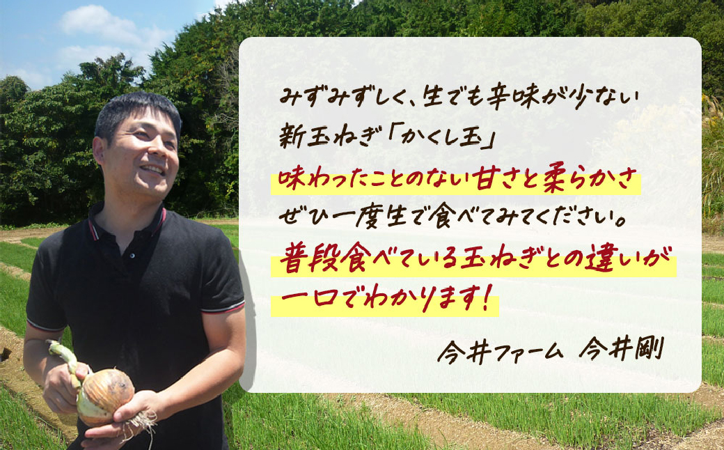 【新たまねぎ】今井ファームの淡路島たまねぎ「かくし玉」 2kg【発送時期2026年4月下旬～5月頃】　[玉ねぎ 産地直送 玉ねぎ]