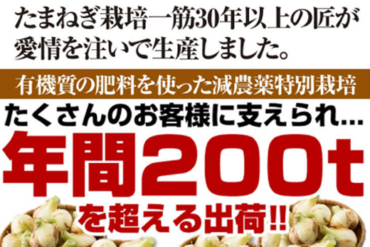 【新たまねぎ】今井ファームの淡路島たまねぎ「かくし玉」 2kg【発送時期2025年4月下旬～5月頃】　　[玉ねぎ 玉葱 タマネギ 玉ねぎ 淡路島産 たまねぎ 玉ねぎ 玉ねぎ 玉ねぎ 玉ねぎ 玉ねぎ]