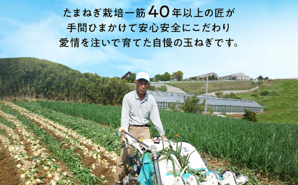 【新たまねぎ】今井ファームの淡路島たまねぎ「かくし玉」 2kg【発送時期2026年4月下旬～5月頃】　[玉ねぎ 産地直送 玉ねぎ]